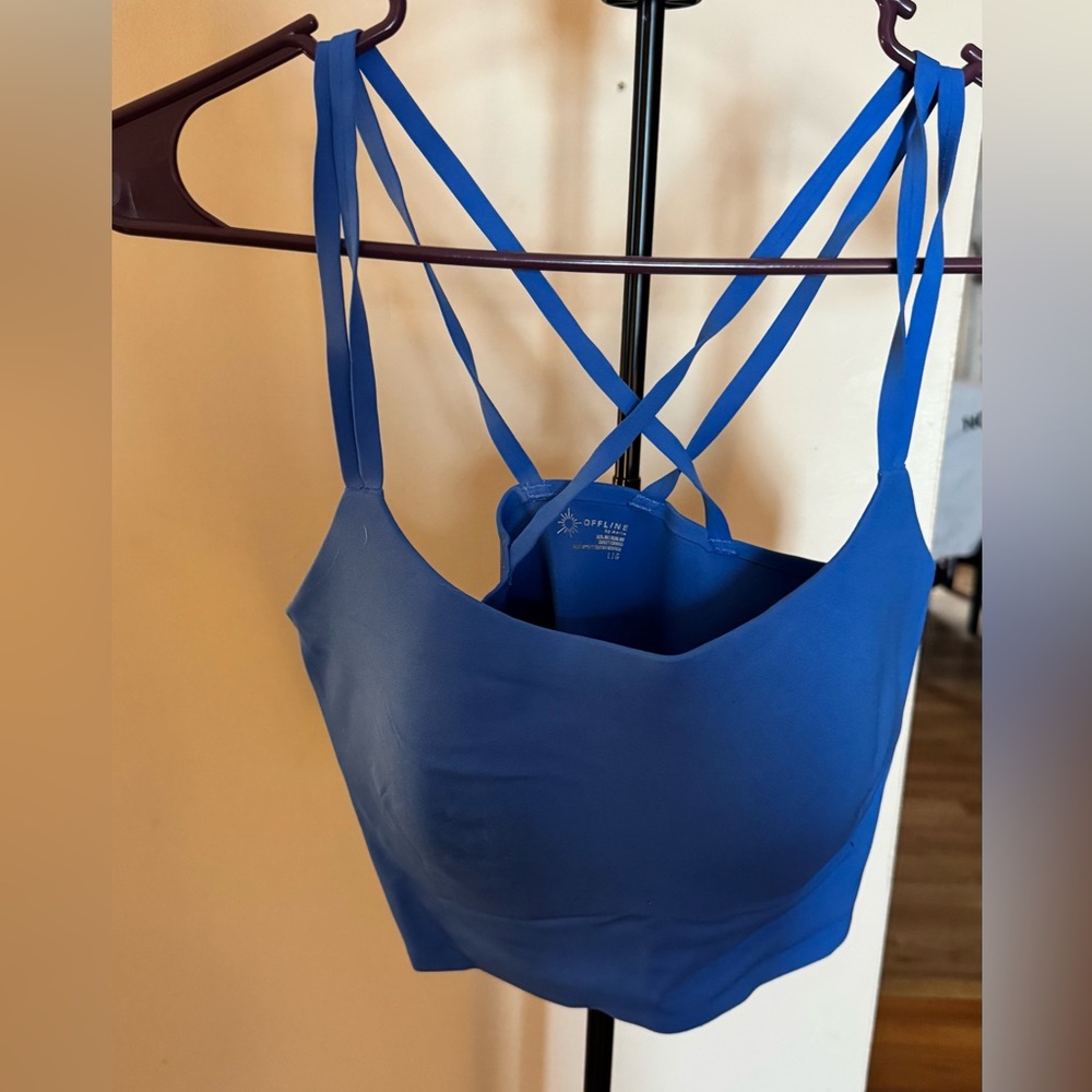 Aerie Blue Sports Bra